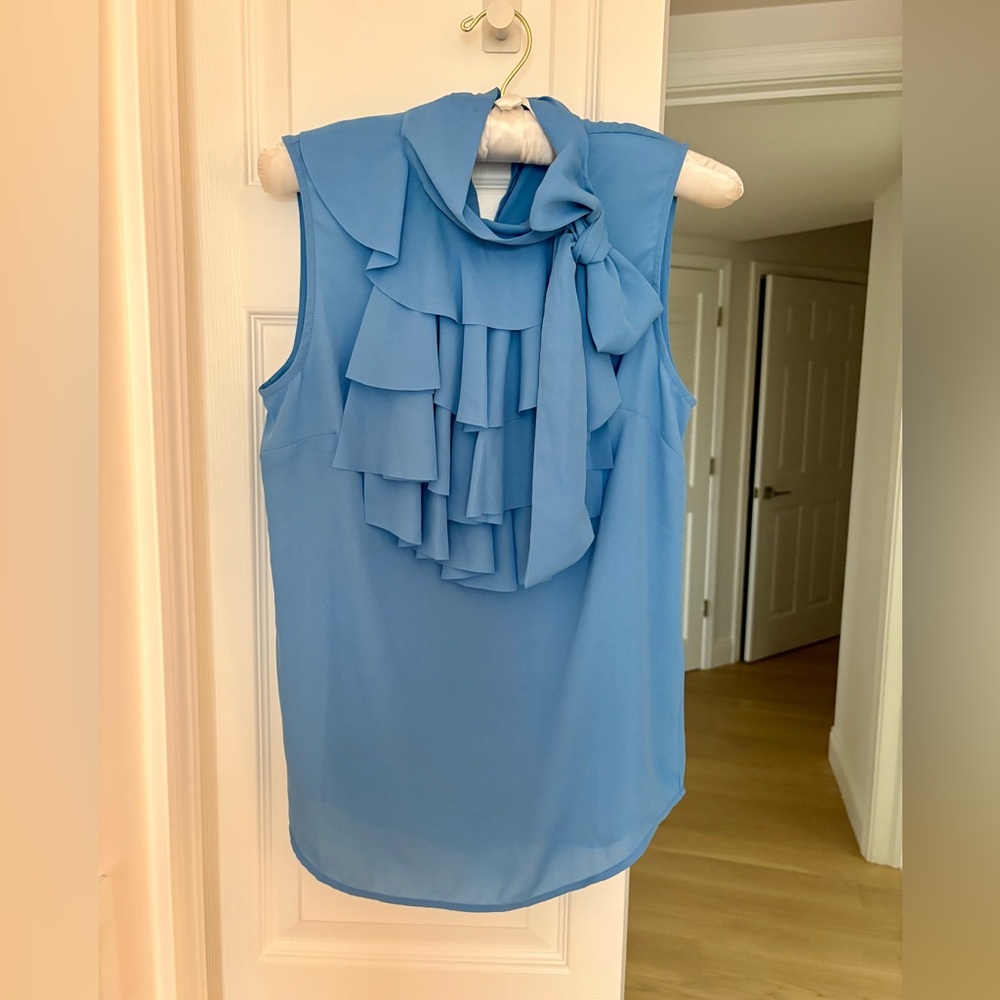 Banana Republic Blue Ruffle Blouse size XS
